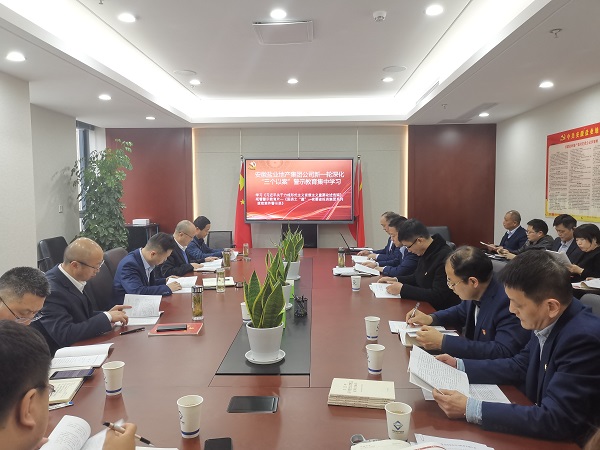 安徽beat365地产集团公司开展新一轮深化“三个以案”警示教育集中学习