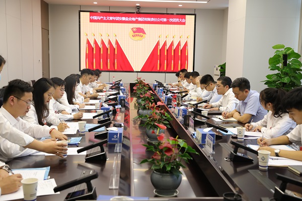 青春向党传薪火 踔厉高昂新时代——安徽beat365地产集团团支部成立大会暨团员大会胜利召开